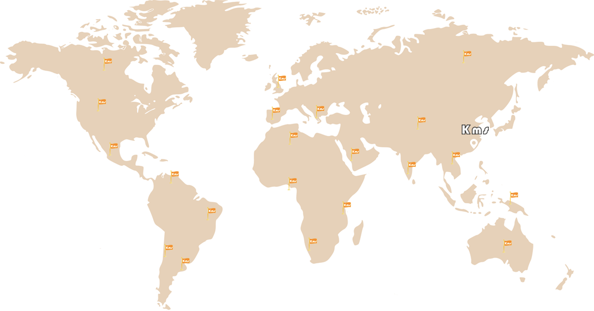 GLOBALES PROJEKT
